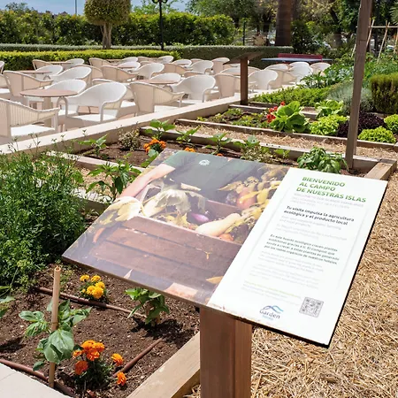 Garden - Adults Only 4* Cala Millor (Mallorca)